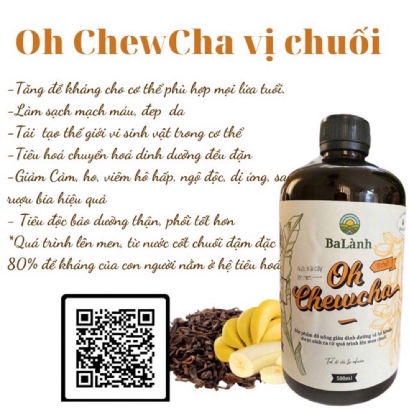 oh chewcha dịch chuối lên men- tăng cường miễn dịch
