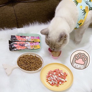 Đĩa đựng thức ăn nước uống cho chó mèo thú cưng