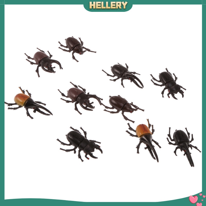 Set 10 Mô Hình Côn Trùng Bằng Nhựa Cho Bé