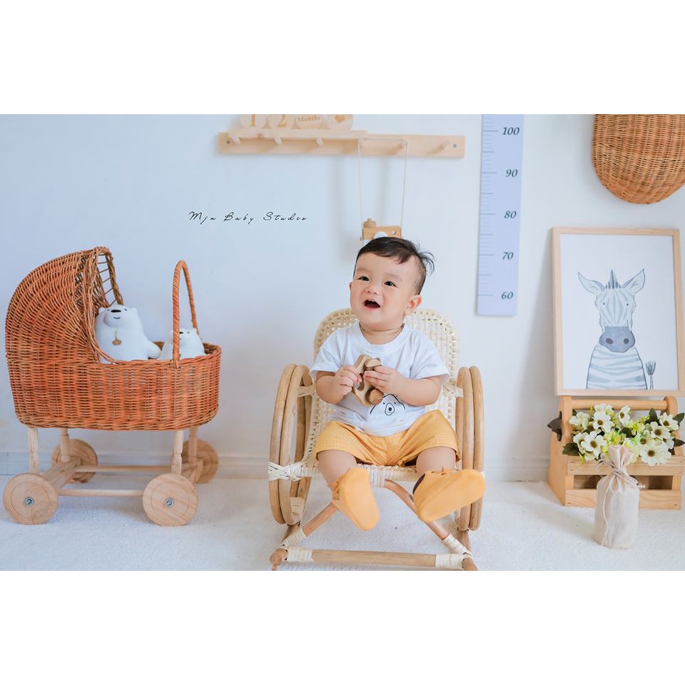 Props - Phụ kiện chụp hình siêu xinh cho các studio - Xe đẩy bằng mây ,có ảnh thật