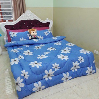 Bộ chăn phao ga gối kho hàng hcm-hoa 7 cánh xanh 1m6x2m