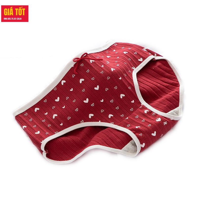Quần chíp bé gái 20kg 30kg 40kg☑️ quần lót tam giác  bé gái 3 - 12 tuổi☑️ Thời trang bé gái 3 tuổi