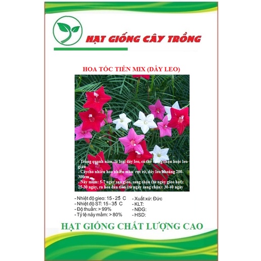 Hạt Giống Hoa Tóc Tiên Nhiều Màu (Dây Leo) CT490 - Gói 10 hạt