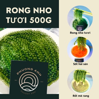 HCM - [Đã kèm sốt] 500g Rong nho tươi (10.1)