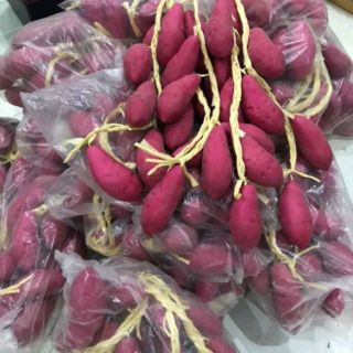 10 dây nông sản mầm non