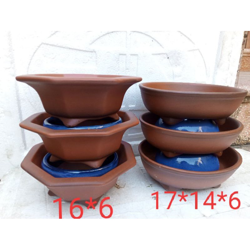combo 6 chậu gốm tử sa