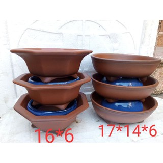 Combo 6 chậu gốm tử sa