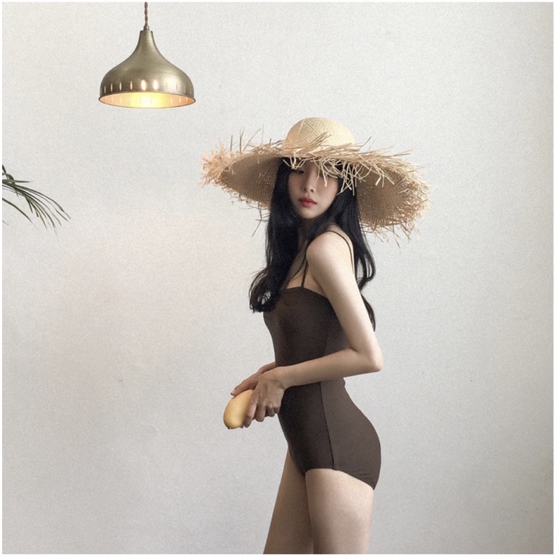 Bộ bơi nữ , bikini liền hai dây nâu đơn giản (Hàng Quảng Châu)