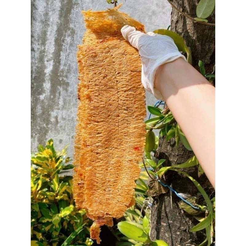 🐙 HỘP 200gr 𝐌𝐔̛̣𝐂 𝐂𝐀́𝐍 𝐓𝐀̂̉𝐌 𝐕𝐈̣