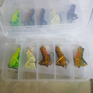 Mồi Côn Trùng, mồi câu lure