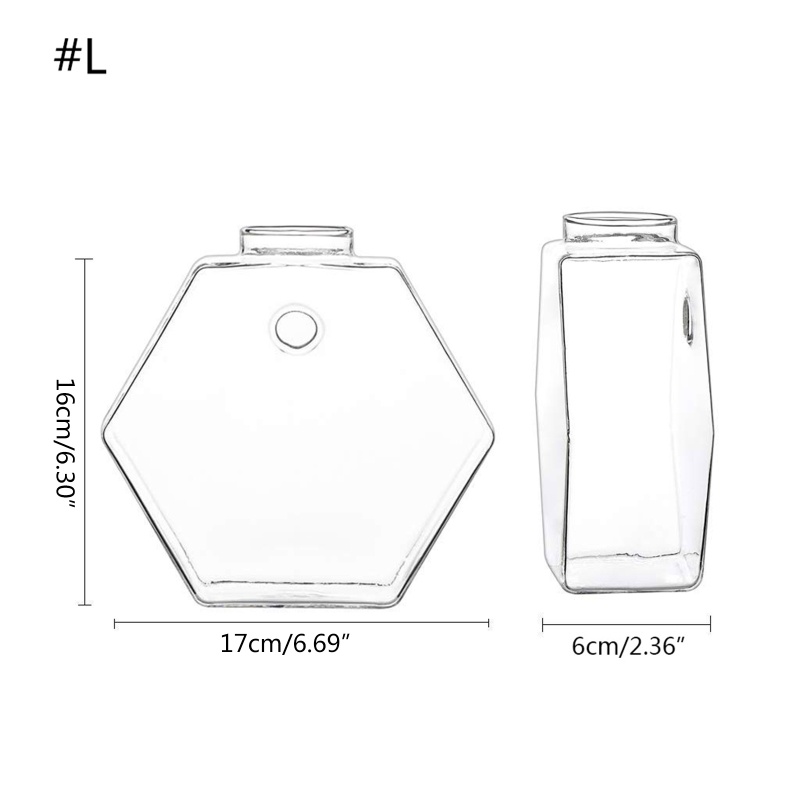 Bình Hoa Thủy Tinh Trong Suốt Hình Lục Giác Treo Tường Trang Trí Nội Thất DIY