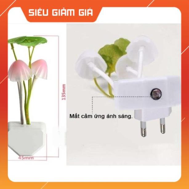 Đèn ngủ Led cảm biến ánh sáng hình Nấm