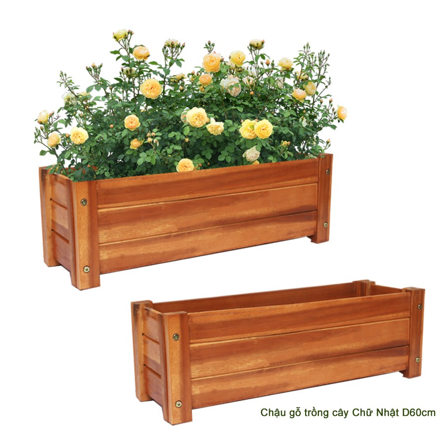 Bộ 2 Chậu gỗ trồng cây, chữ nhật D60xR22xC20cm, gỗ tràm chịu nước, tặng 2 hộp dưỡng hoa tươi lâu |Greenhome