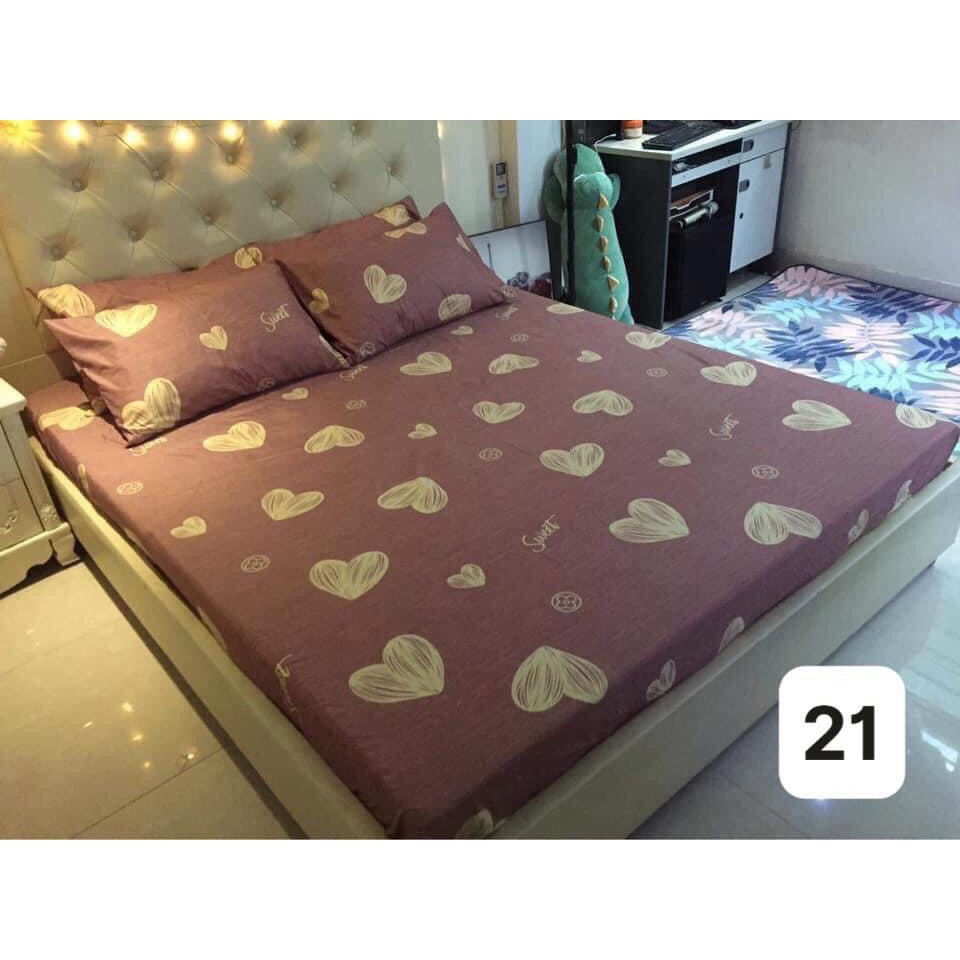 Ga + Gối poly sét 3 món poly cotton không xù không phai màu - Sét 3 món ga bo chun + 2 vỏ gối Ấm Êm Decor | BigBuy360 - bigbuy360.vn