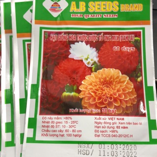 Hạt giống hoa thược dược tổ ong Mix (DAHLIA) 30H