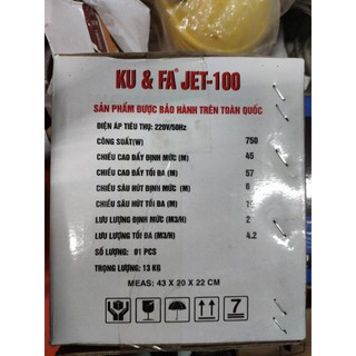 MÁY BƠM NƯỚC LY TÂM SWIRLS JET100A