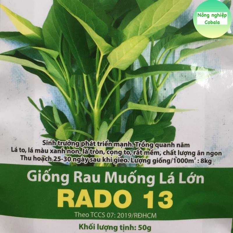 Hạt Giống Rau Muống Lá Lớn (RADO13) Dễ Trồng, Năng Suất Cao 50gr