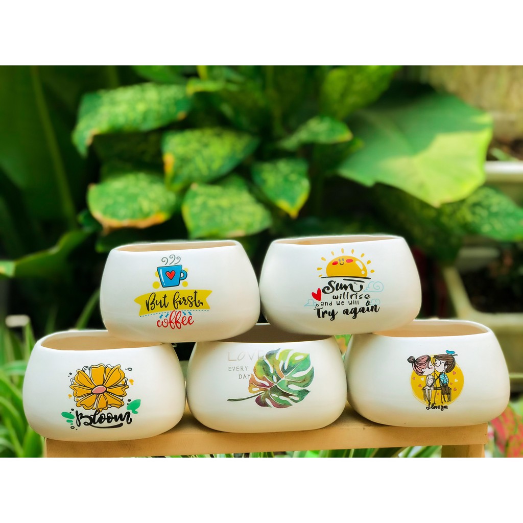 CHẬU CASA TRỒNG CÂY PHONG THỦY