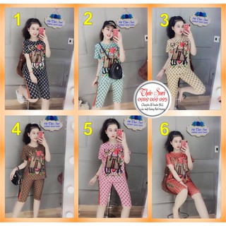 Bộ Lửng thun lạnh 3D Quảng Châu