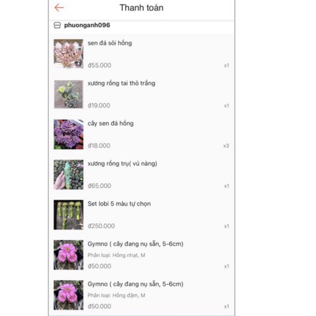 combo tự chọn