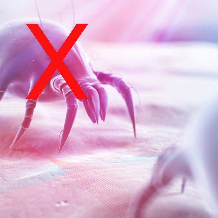 [ CỰC HÓT] Máy Hút Bụi Chăn Màn KHỬ KHUẨN Ghế Sofa Đệm Thảm Tiệt Trùng Bằng Tia UV | BigBuy360 - bigbuy360.vn