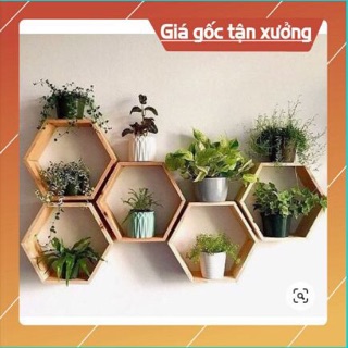 Kệ lục giác- kệ tổ ong