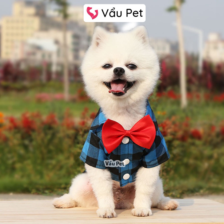 Áo cho chó mèo Sơ mi cổ nơ - Quần áo cho chó poodle, con, lớn, mèo, thú cưng Vẩu Pet Shop