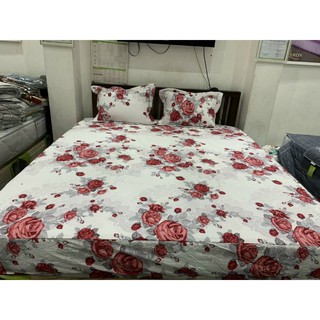 Bộ ga chun chần Everon SR16