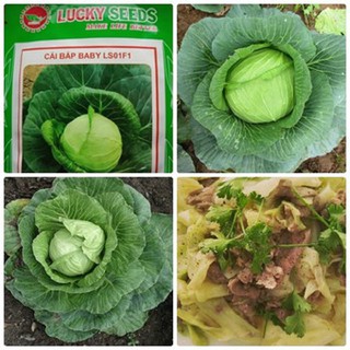 Hạt giống bắp cải baby LS01F1 gói 0.5 gram xuất xứ Việt Nam