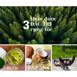 Dầu gội thảo dược Thiên Thảo