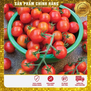 -23% COMBO HẠT GIỐNG RAU CỦ VIP