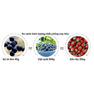 HẮC KỶ TỬ HOANG DÃ TÂY TẠNG
