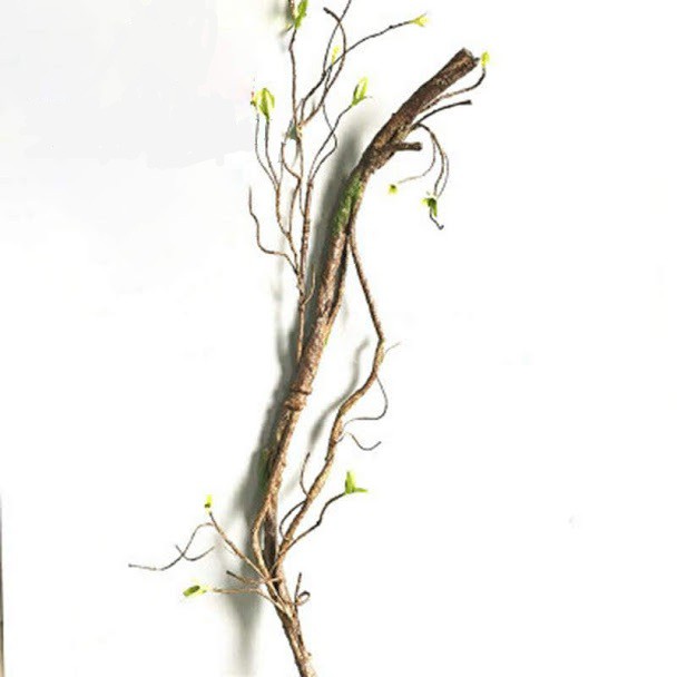 Cành cây leo nhân tạo trang trí bể bò sát