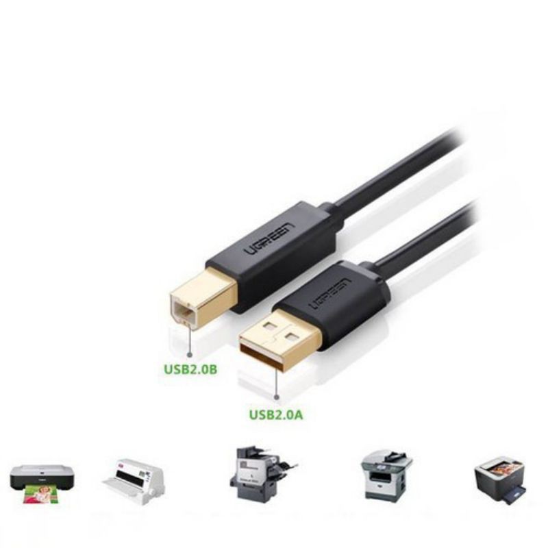 Cáp Máy In USB 2.0 Dài 3m Ugreen 10351 đầu mạ vàng - Hàng Chính Hãng