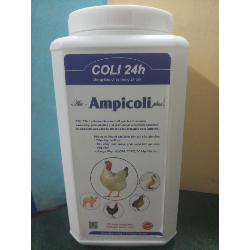 Coli 24h Ampicoli Plus gói 100 gram hàm lượng cao tiê.u ch.ảy phân xanh, phân trắng, sưng phù đầu