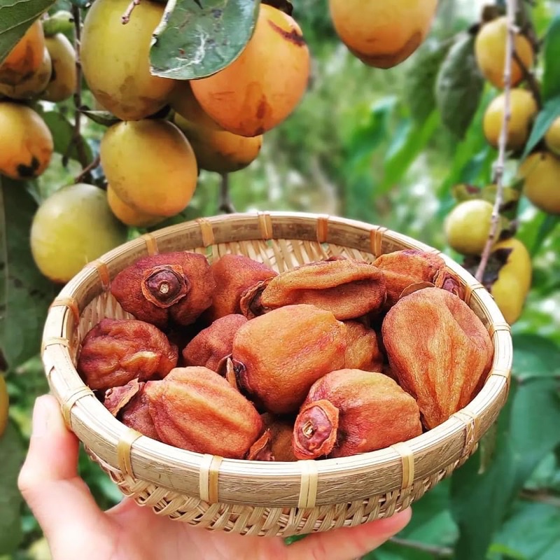 Hồng ĐÀ LẠT treo gió công nghệ Nhật