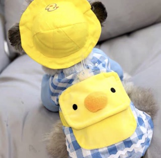 Bộ con vịt cho chó mèo
