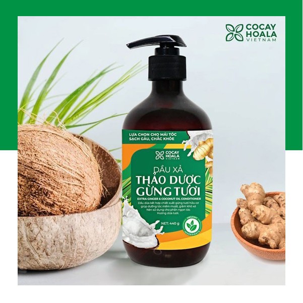 Cặp Dầu gội gừng dừa ngăn rụng tóc Cỏ Cây Hoa Lá sạch gàu, hết ngứa, nhanh mọc tóc | BigBuy360 - bigbuy360.vn