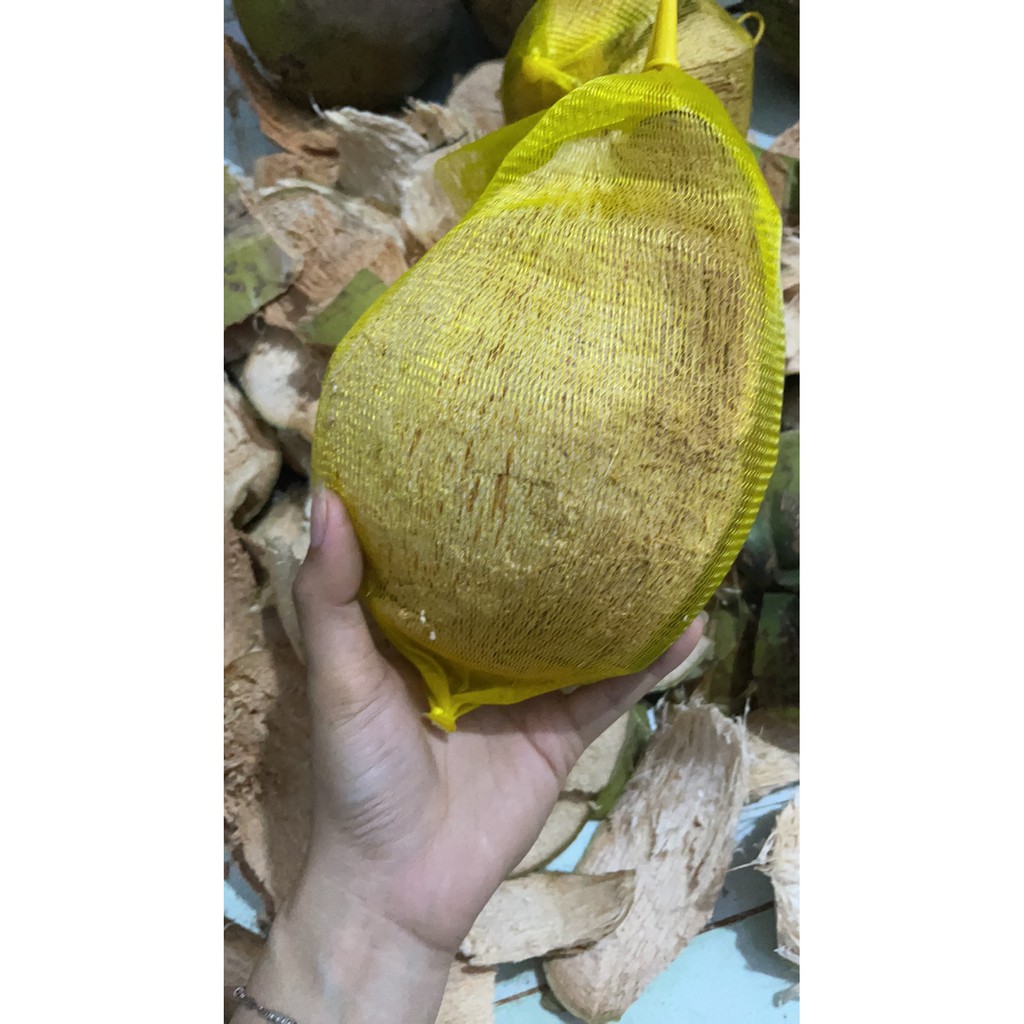 Dừa sáp trà vinh loại 1 quả 1kg