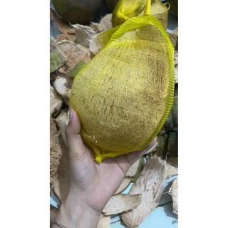 Dừa sáp Trà vinh loại 2 đặc quả 800g