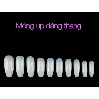 Móng Úp Thang Đục/Trong Giá Thành Hợp Lý