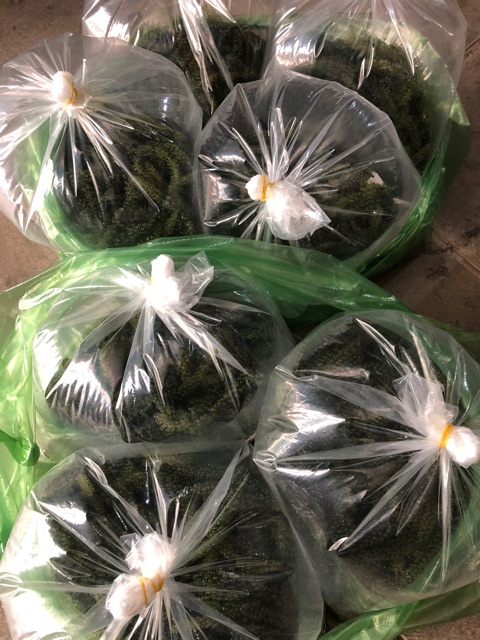 Rong tươi Khánh hoà hương vị biển ...