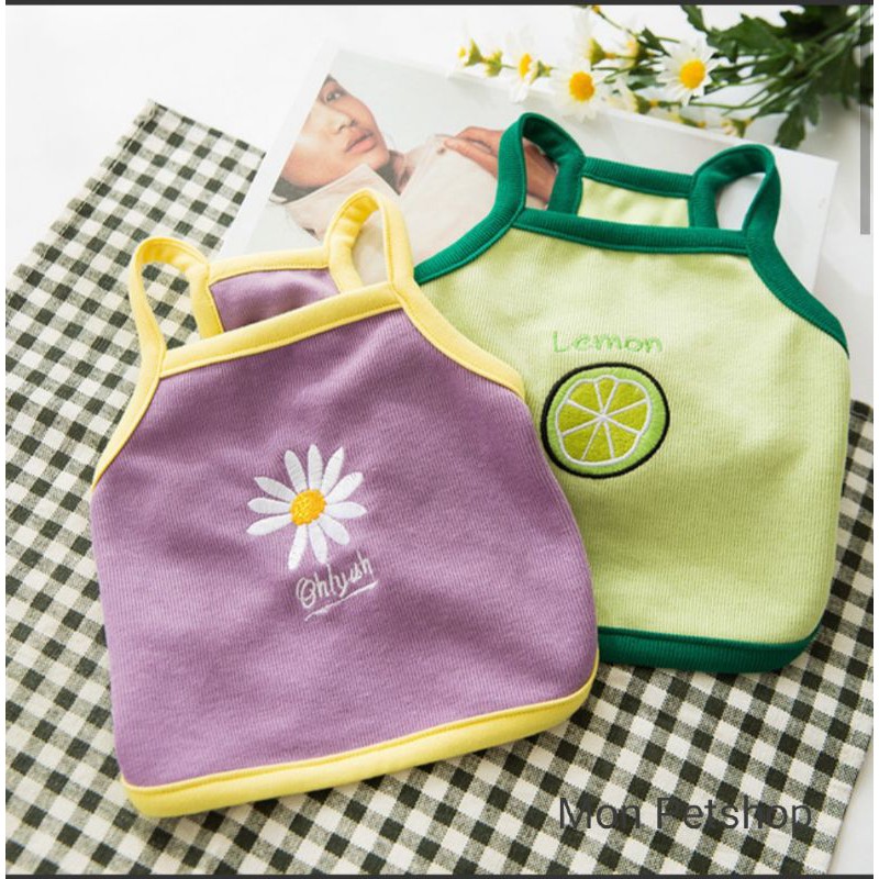 croptop đồng giá