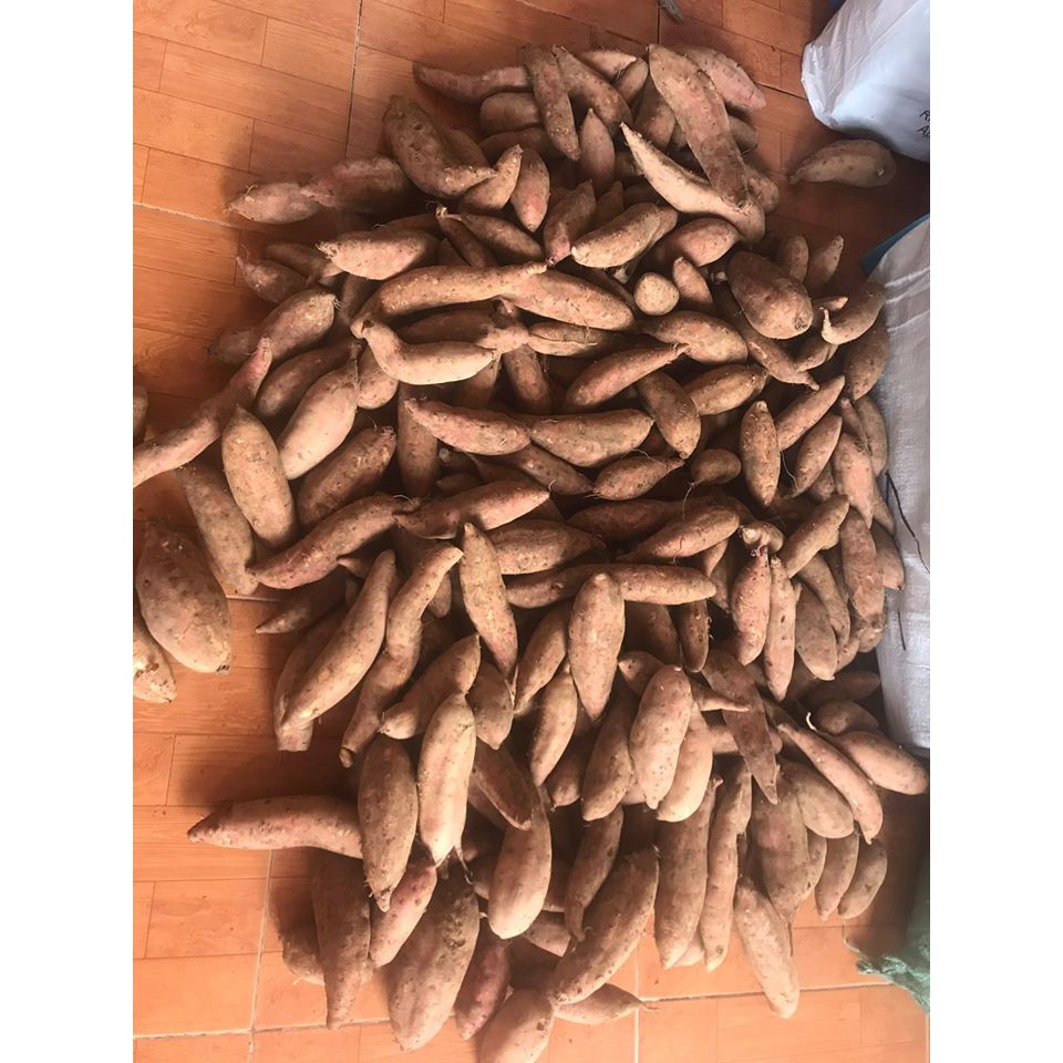 Khoai Lang Mật Đà Lạt nhà trồng | BigBuy360 - bigbuy360.vn