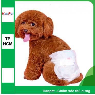 HCM- Combo 10 miếng bỉm quần dạng dán chó mèo cao cấp (kiểu bỉm quần) loại siêu thấm ĐỦ SIZE