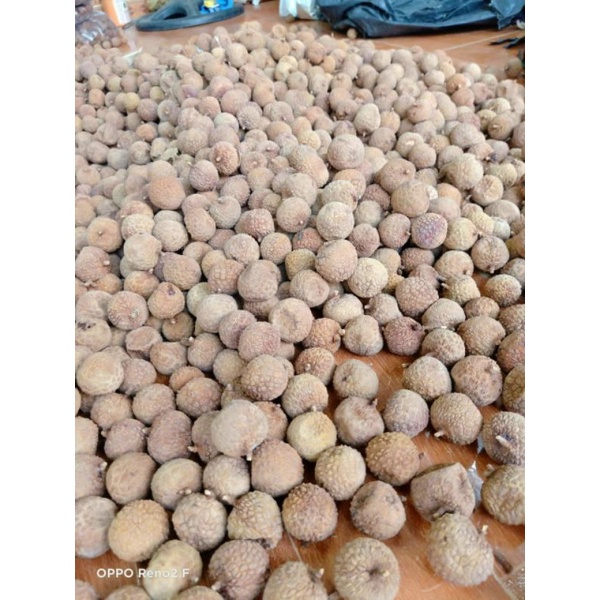 VẢI THIỀU SẤY KHÔ LOẠI VÍP CHUẨN BẮC GIANG 1kg vải mới 2023