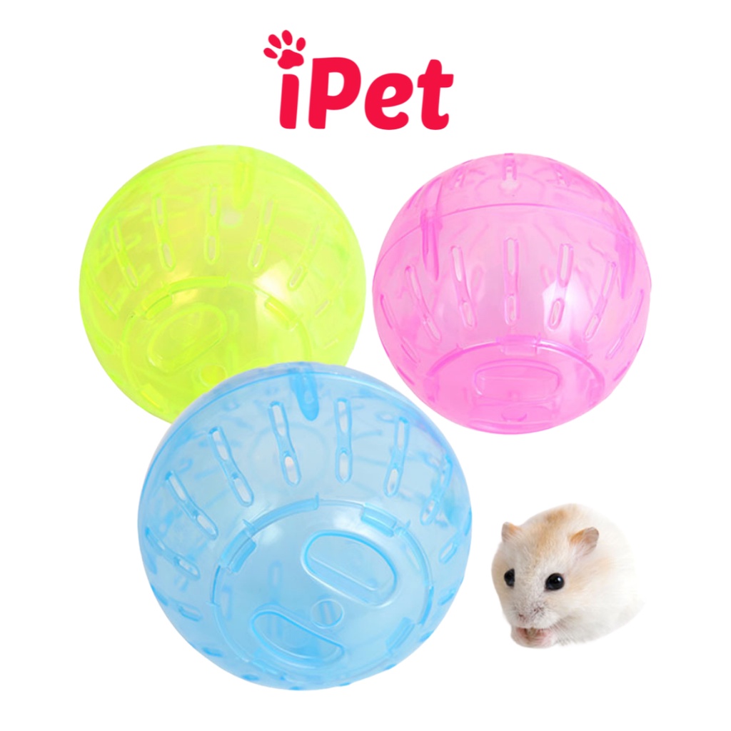 Đồ Chơi Bóng Chạy Cho Hamster, Banh Chạy Nhựa Lăn Tự Do Trong Nhà - iPet Shop