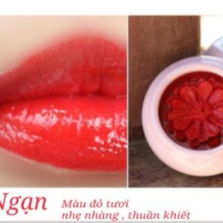 Son mị sương hoa Handmade