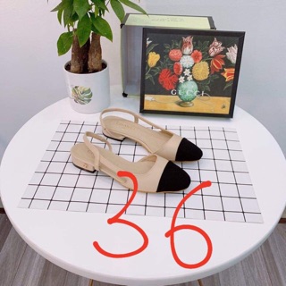 Combo Dép