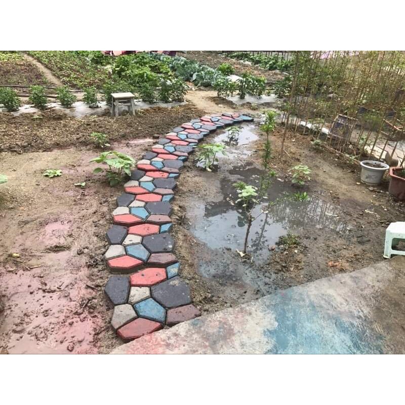 Khuôn gạch sân vườn 43x43x4cm tặng kèm gáo xúc bằng nhựa